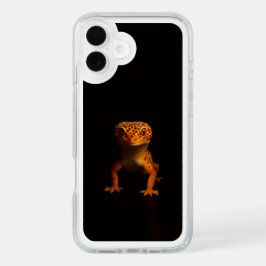 ブラック4ルクセプレシディオ、ヒョウモントカゲモドキ