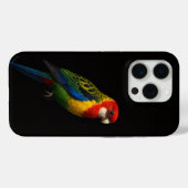 ブラック4 ラクセ iPhone 15 Pro Mate, イースタンヒワ Case-Mate iPhoneケース (裏面 (横))