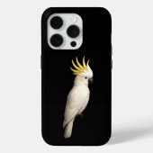 ブラック4 ラクセ iPhone 15 Pro Mate、カシイタオウム Case-Mate iPhoneケース (裏面)