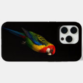 ブラック4 ラクセ iPhone 15 Pro Max, イースタンヒガシロヒレアオインコ Case-Mate iPhoneケース (裏面 (横))