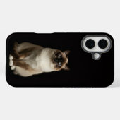 ブラック4 ラクセ iPhone 16 マット、ビルマ猫 Case-Mate iPhoneケース (裏面 (横))