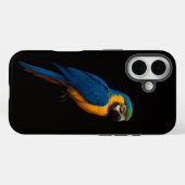ブラック4 ラクセ iPhone 16 マテ ルーセントブルー+イエローコンゴウインコ Case-Mate iPhoneケース (裏面 (横))