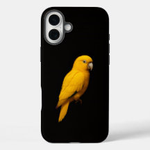 ブラック4 ラクセ iPhone 16 Plus、ゴールデンパラキート