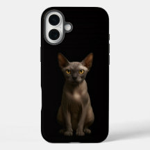 ブラック4 ラクセ iPhone 16 Plus、スフィンクス猫