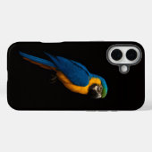 ブラック4 ラクセ iPhone 16 Plus、ルオウオウムラサキインコ Case-Mate iPhoneケース (裏面 (横))