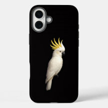 ブラック4 ラグジュアリーiPhone 16 Plus、オウムトキノコクオウム