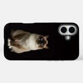 ブラック4 ラグジュアリーiPhone 16 Plus、ビルマ猫 Case-Mate iPhoneケース (裏面 (横))