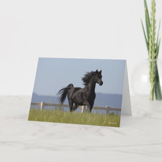 ブラック・アラブ・スタリランニングオン・のたてがみ流れ カード (正面)