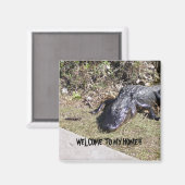 ブラック・アリゲーターはあなたを彼の家まで歓迎する マグネット (正面/裏面)