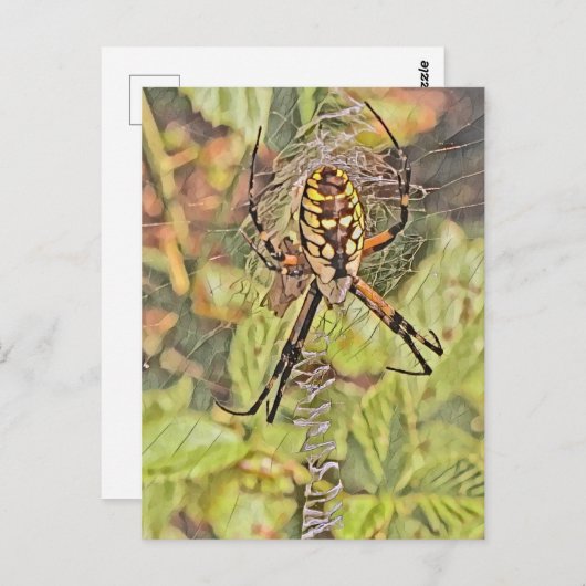 ブラック&イエローガーデンスパイダーウォーター絵を描カラー ポストカード (正面/裏面)