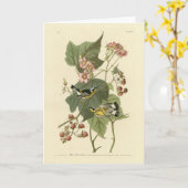 ブラック&イエローワーブラーズAudubon's Birds of America カード (黄色い花)
