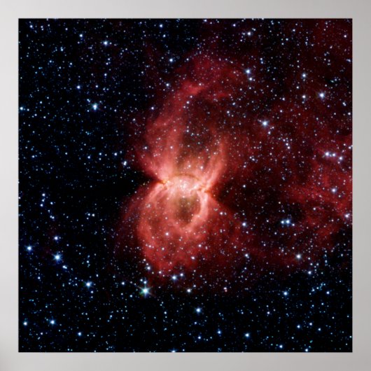 ブラック・ウィドウ・ネブラ・ポスター ポスター (正面)