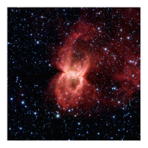 ブラック・ウィドウ・ネブラ・ポスター