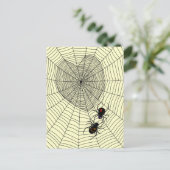 ブラック・ウィドウ ポストカード (スタンド正面)