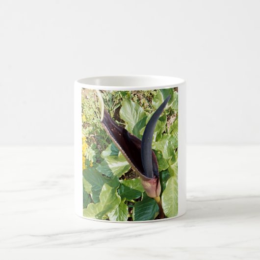 ブラック・カラーのLillyのマグ コーヒーマグカップ (中央)