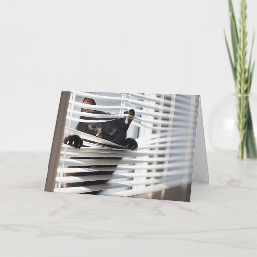 ブラック・キャット・イン・ブ考え・ブラインド カード (正面)