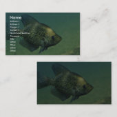 ブラック・クラッピー 名刺 (正面/裏面)