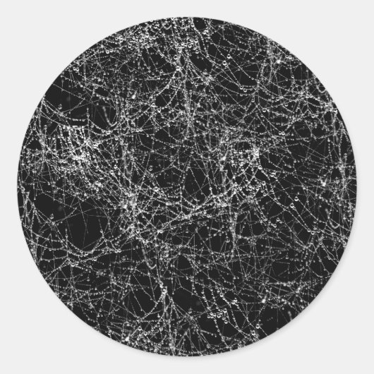 ブラック＆シルバーのスパイダーウェブがおしゃれなハロウィンパーティー ラウンドシール (正面)