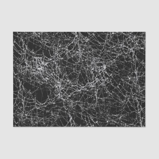 ブラック&シルバースパイダーウェブズシックハローウィンパーティ 薄葉紙 (正面)