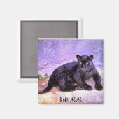 ブラック・ジャガー・マグネット マグネット (正面/裏面)