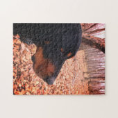 ブラック&タンコンハウンド ジグソーパズル (横)