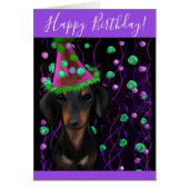 ブラック&タンドキシ (正面)