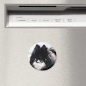 ブラック&タンポメラニア犬マグネット マグネット (インサイチュ (食洗機))