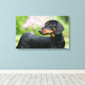 ブラック&タンミニトゥレダックスシュント2 キャンバスプリント (インサイチュ (ウッドフロア))