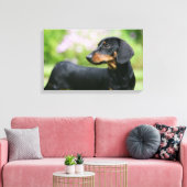 ブラック&タンミニトゥレダックスシュント2 キャンバスプリント (インサイチュ (リビング))