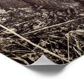 ブラック&タン・クーン・ハウンズのポスター ポスター (角)