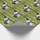 ブラック·ピント·ピエボルド·ジプシー·バンナー·荷車を引くホース ラッピングペーパー (角)