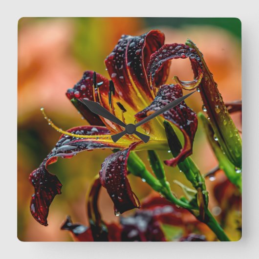 『ブラック・プラッシュ』デイリー スクエア壁時計 (正面)