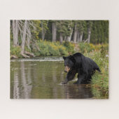 ブラック・ベア・アットザ・リバー ジグソーパズル (横)