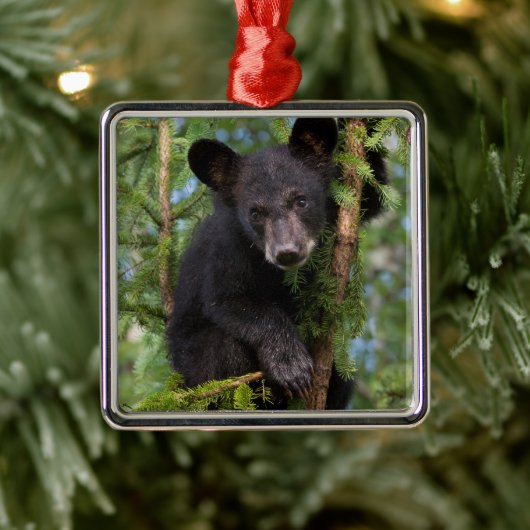 ブラック·ベア·遊カブ·イン·ツリーズ メタルオーナメント (ツリー)