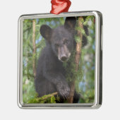 ブラック·ベア·遊カブ·イン·ツリーズ メタルオーナメント (左)