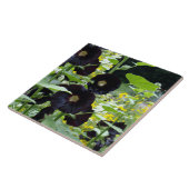 ブラック・ホリホックス タイル (側面)