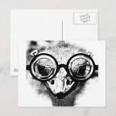 ブラック&ホワイトのグラフィックのNicolaus the ostrich ポストカード (正面/裏面)