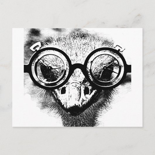 ブラック&ホワイトのグラフィックのNicolaus the ostrich ポストカード (正面)