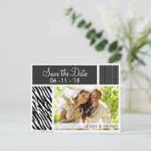 ブラック & ホワイトのゼブラストライプ 案内ポストカード (スタンド正面)