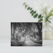 ブラック&ホワイトのダークヘッジ ポストカード (スタンド正面)