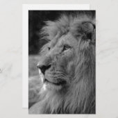 ブラック＆ホワイトのライオン - 野生動物 便箋 (正面/裏面)