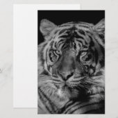 ブラック＆ホワイトの虎 便箋 (正面/裏面)