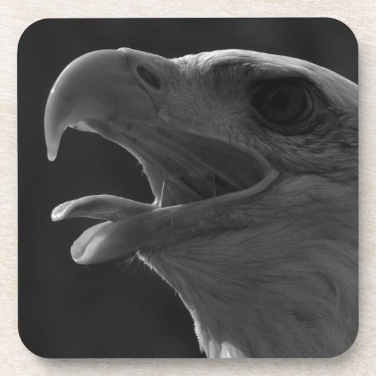 ブラック&ホワイトイーグル コースター (正面)