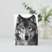 ブラック&ホワイトウルフポートレート ポストカード (スタンド正面)