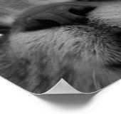 ブラック&ホワイトキャット顔はがき ポスター (角)