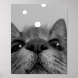 ブラック&ホワイトキャット顔はがき ポスター