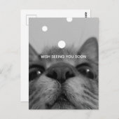 ブラック&ホワイトキャット顔はがき ポストカード (正面/裏面)