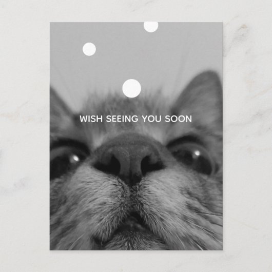 ブラック&ホワイトキャット顔はがき ポストカード (正面)