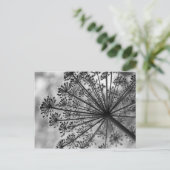 ブラック&ホワイトクイーンアンズレース ポストカード (スタンド正面)