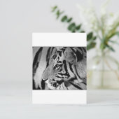 ブラック&ホワイトタイガー ポストカード (スタンド正面)